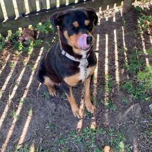 Meet your Posher, Chavarna